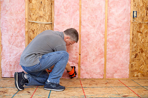 Insulation Inspection Services in Belleair Beach, FL